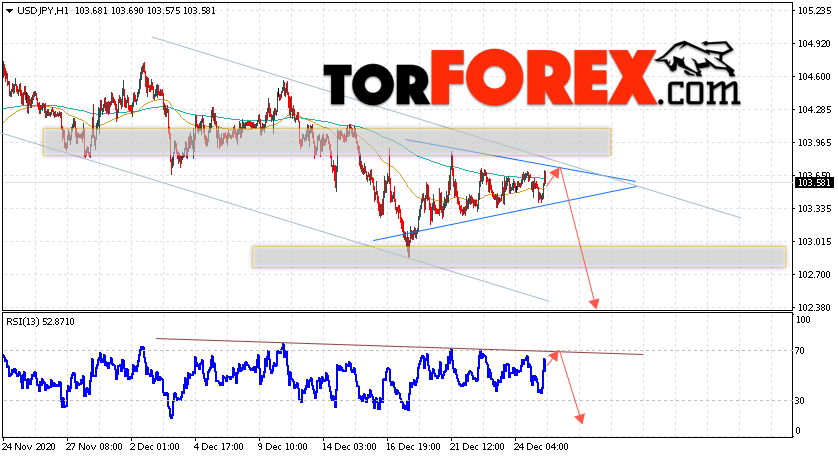 USD/JPY прогноз Доллар Иена на 29 декабря 2020