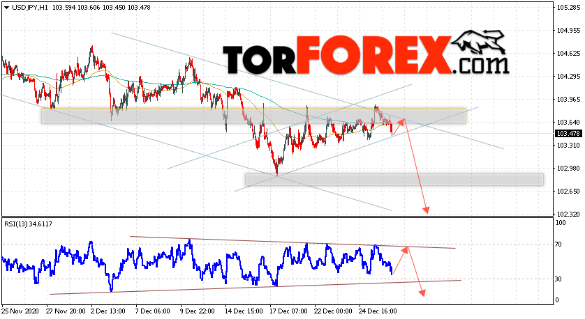 USD/JPY прогноз Доллар Иена на 30 декабря 2020