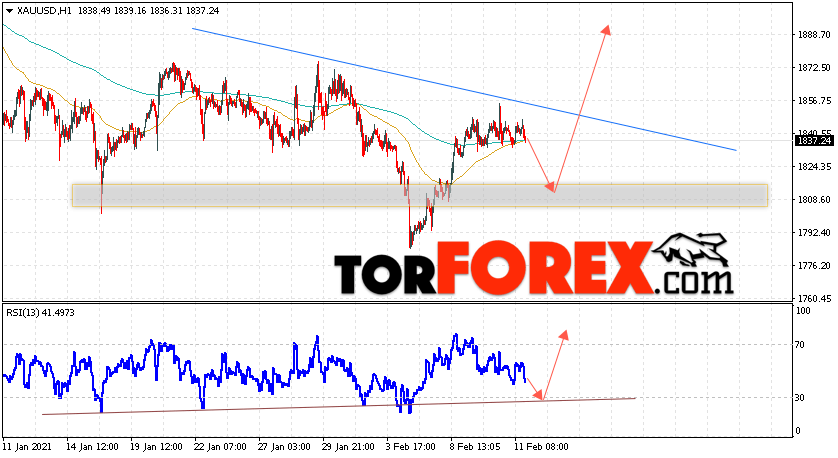XAU/USD прогноз цен на Золото на 12 февраля 2021