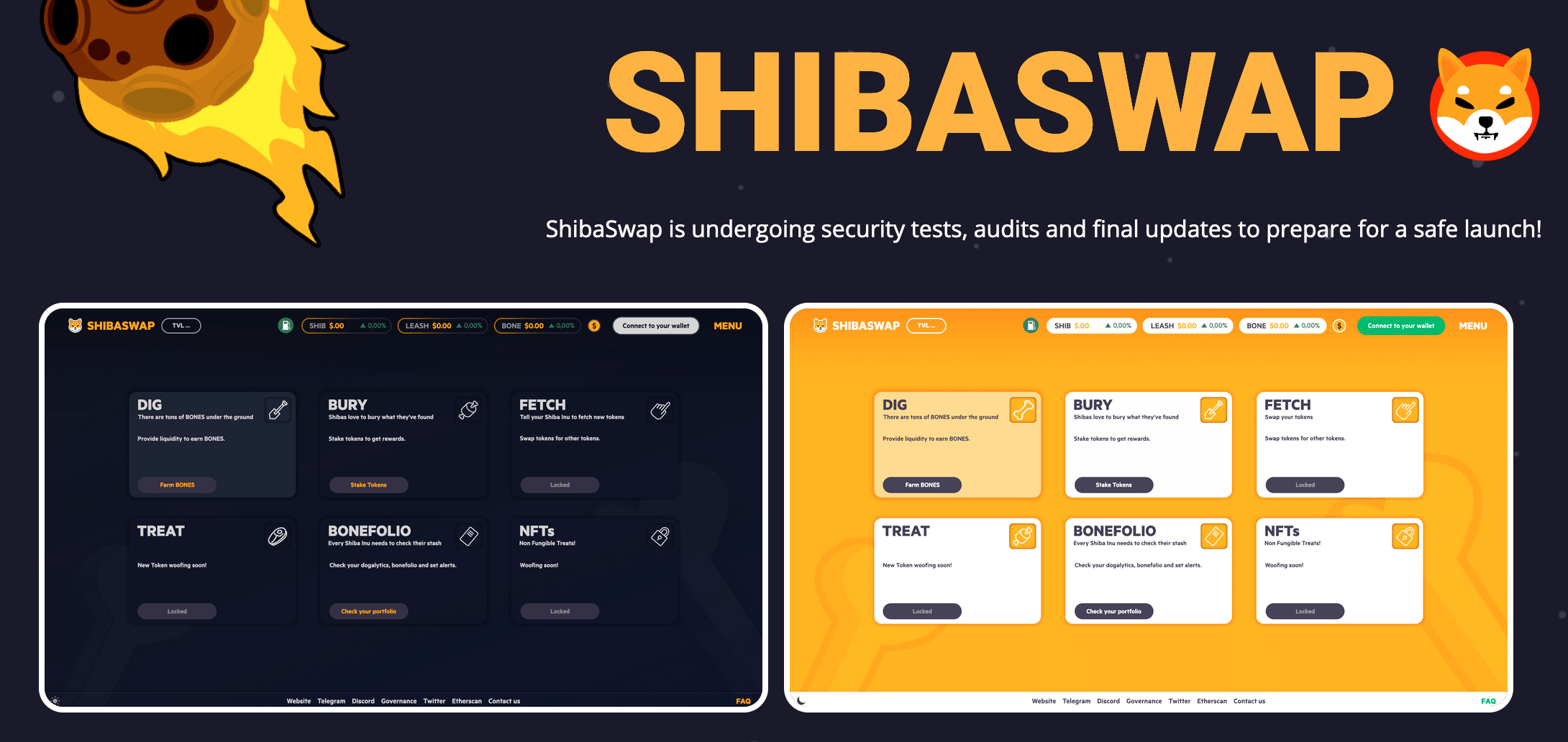 О монете SHIBA INU