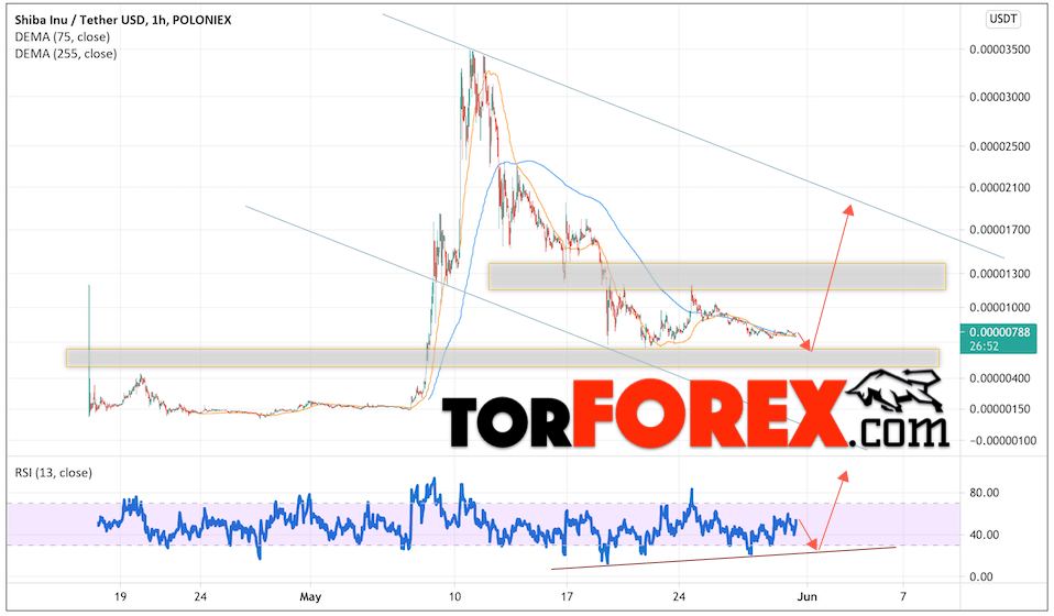 Прогноз курса SHIBA INU (SHIB) на июнь 2021 года