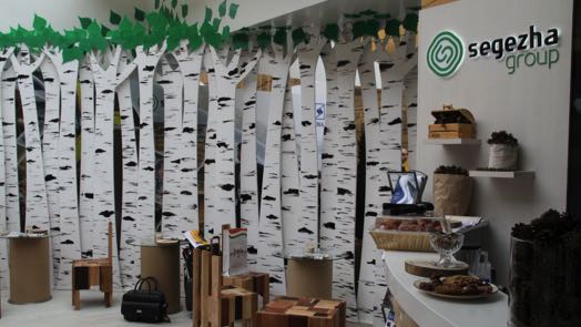 Segezha Group прогноз на 2022 и 2023 год