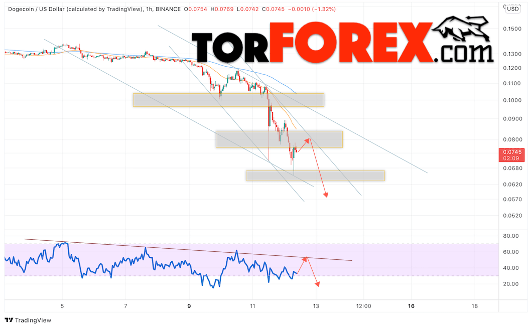 Dogecoin прогноз и курс на 13 мая 2022