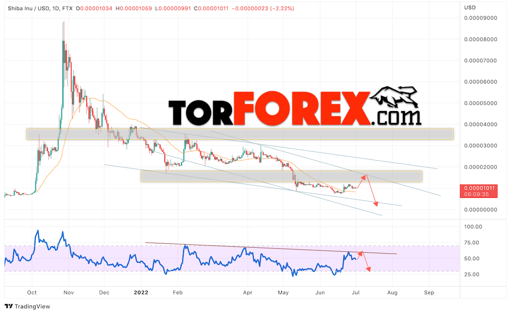 SHIBA INU прогноз на монеты 4 — 8 июля 2022