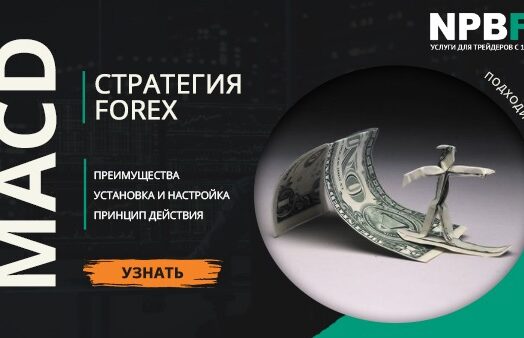 MACD стратегия для начинающих: разбор на примерах