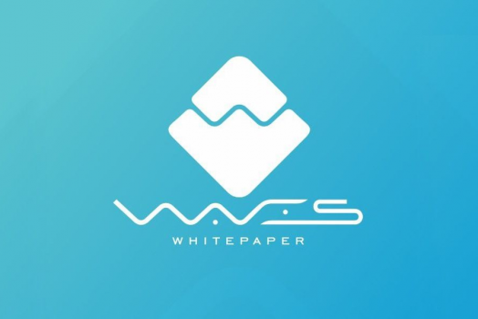 Инвестору о крипто-проекте WAVES