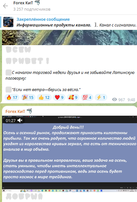 forex кит отзывы forex кит отзывы