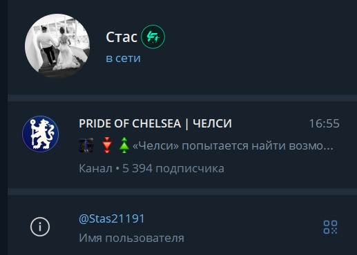 help hamster help телеграм help hamster help телеграм