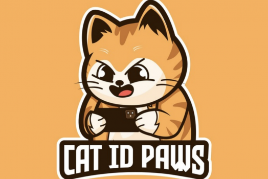 Обновленное Комбо Cat ID Paws на 11 Сентября