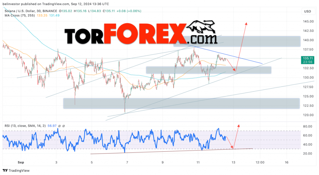 Solana прогноз SOL/USD на 13 сентября 2024