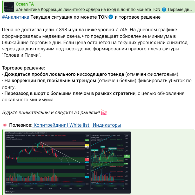 alex whale alex whale