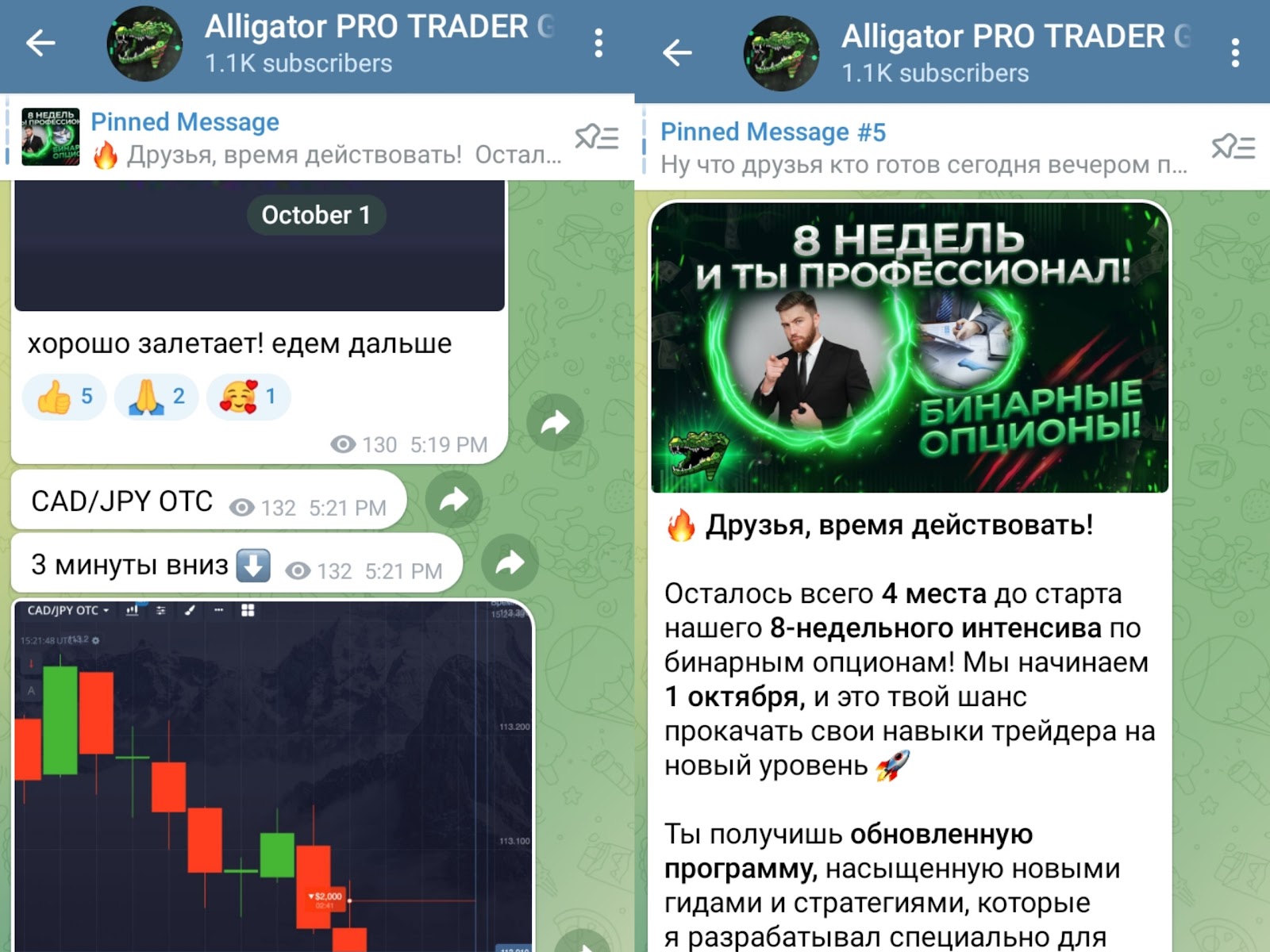 alligator pro trader отзывы alligator pro trader отзывы