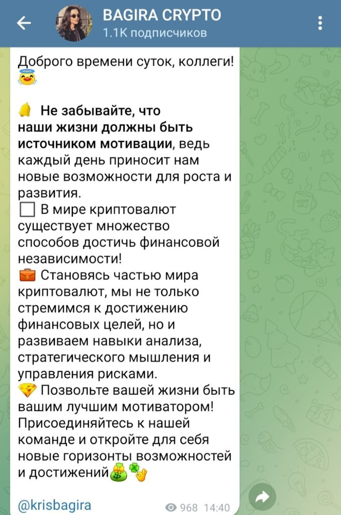 Bagira Crypto Bagira Crypto