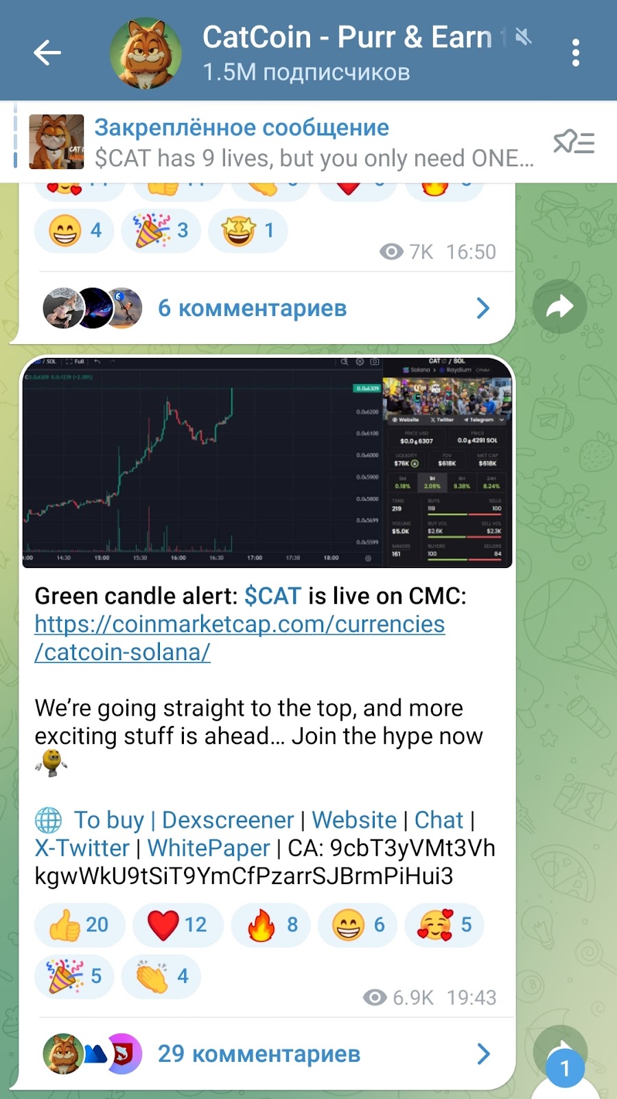 cat coin криптовалюта cat coin криптовалюта