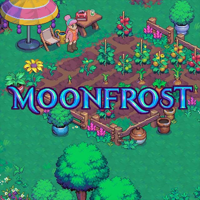 Игра Moonfrost