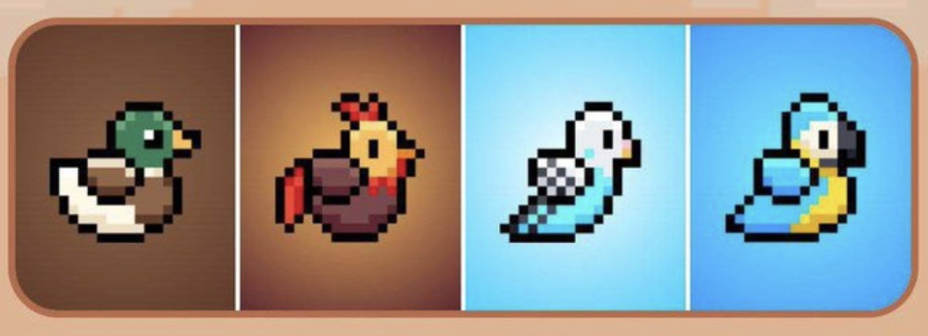 Комбо Bird Ton сегодня Комбо Bird Ton сегодня