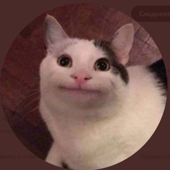 KOTE - Kotecoin токен