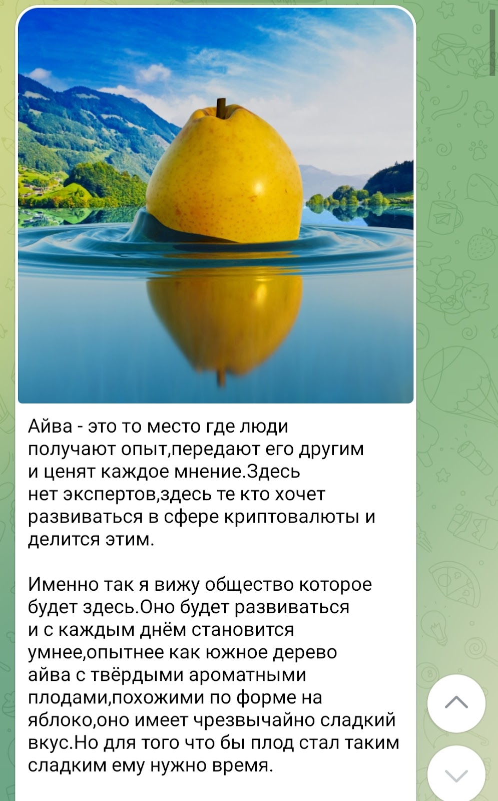 Крипто айва Крипто айва