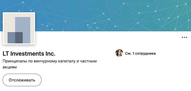 lt investments lt investments