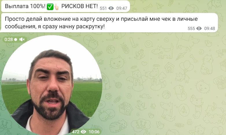 Максимальный доход телеграмм