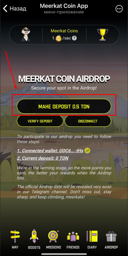 meerkat coin meerkat coin