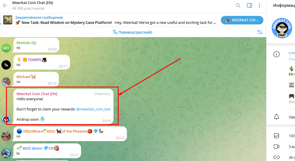 meerkat coin обзор meerkat coin обзор