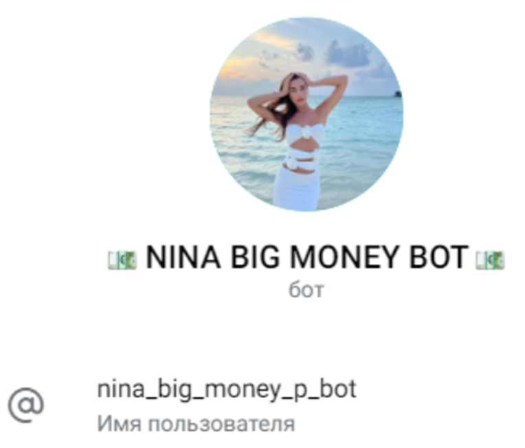 money nina finance телеграмм money nina finance телеграмм