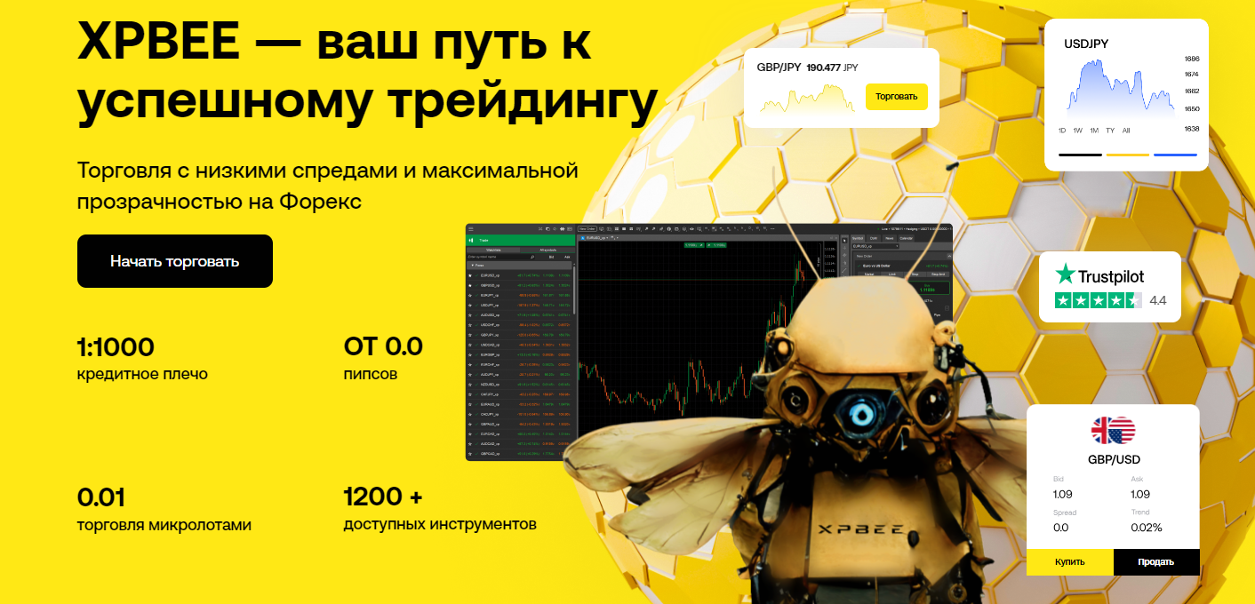 xpbee xpbee