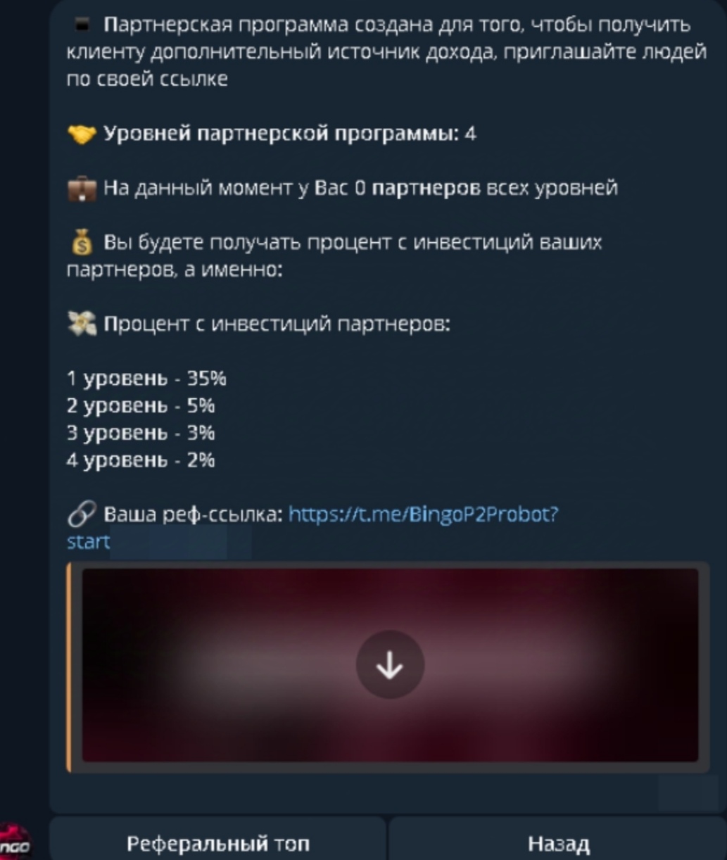 Bingo Робот Bingo Робот