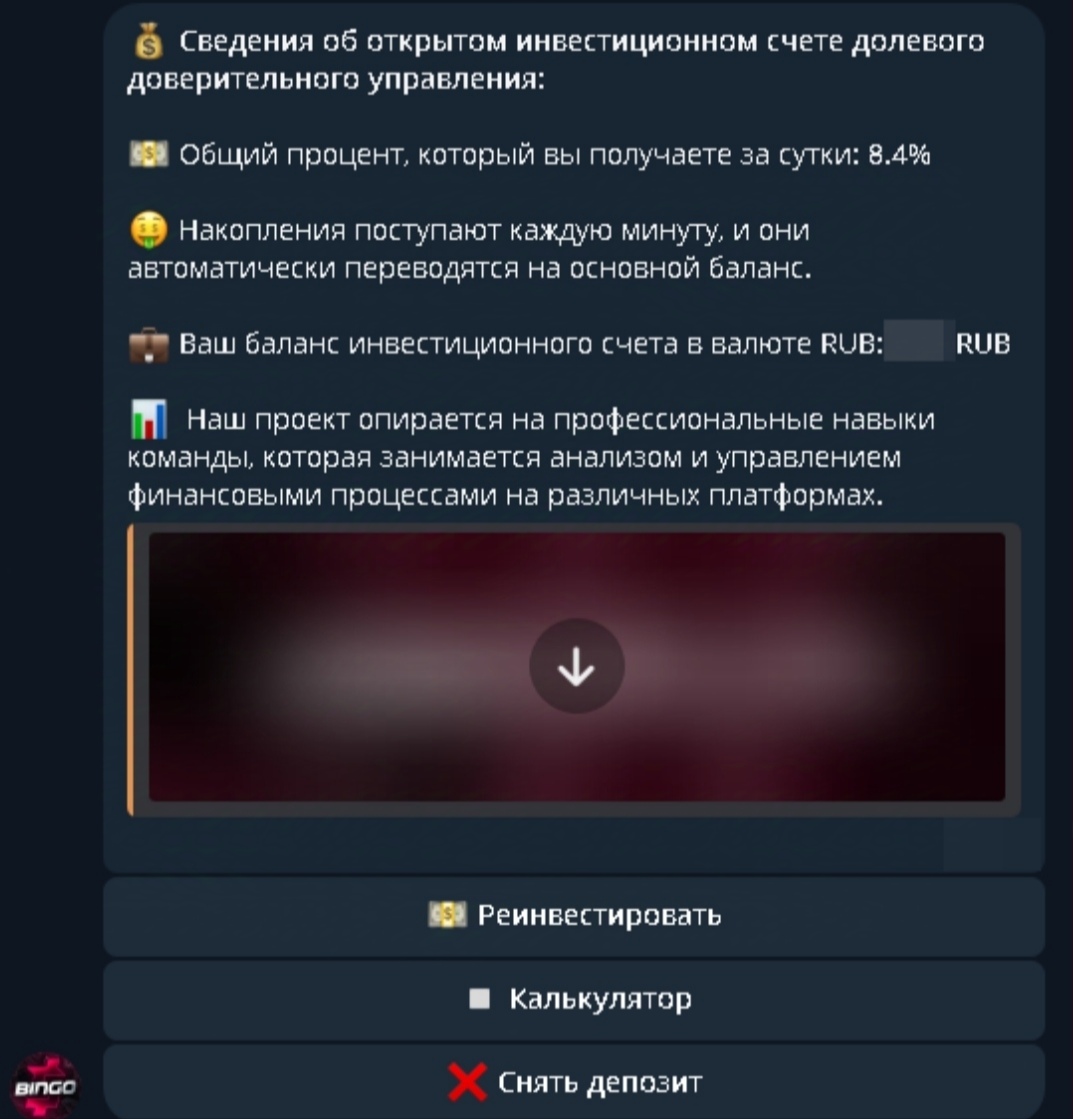 BingoRobot Support BingoRobot Support