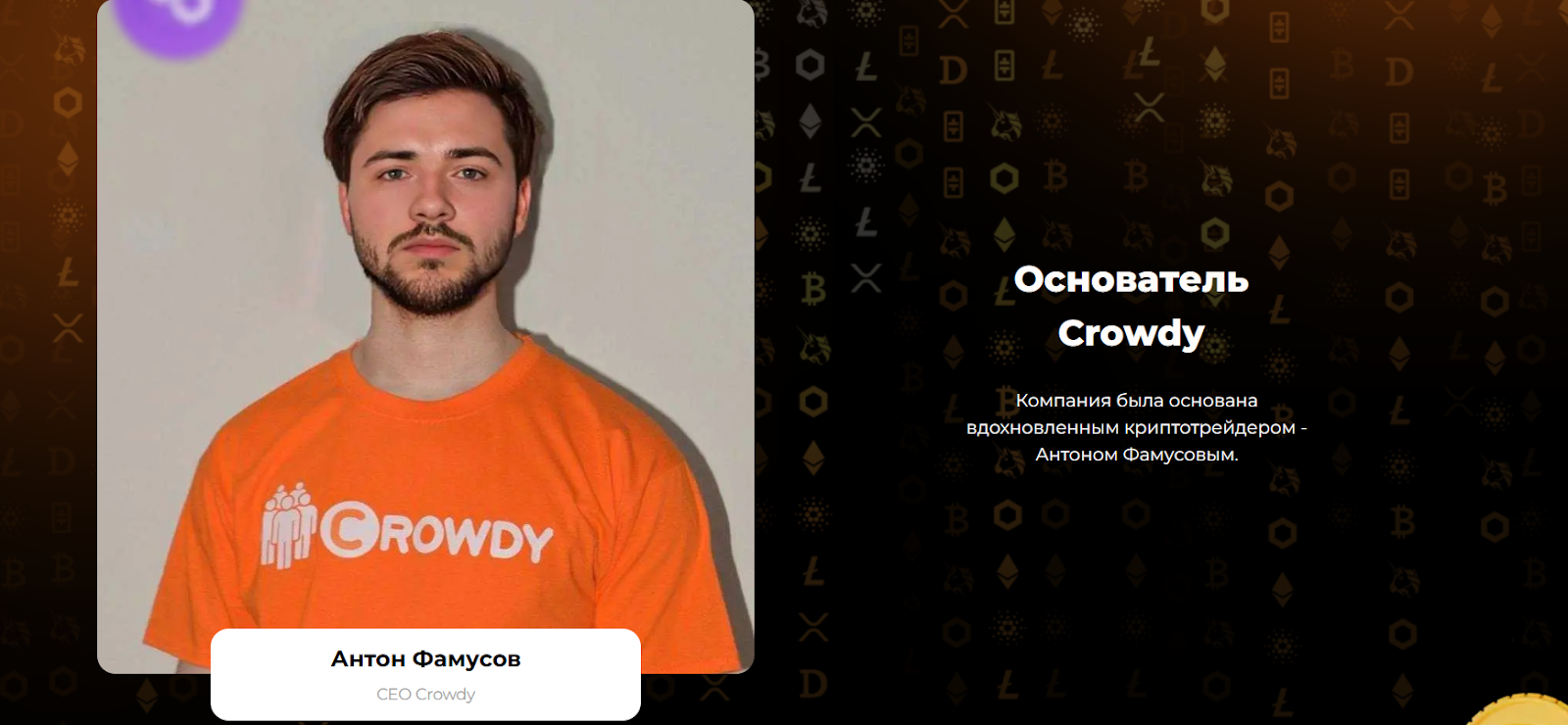 Crowdy отзывы Crowdy отзывы