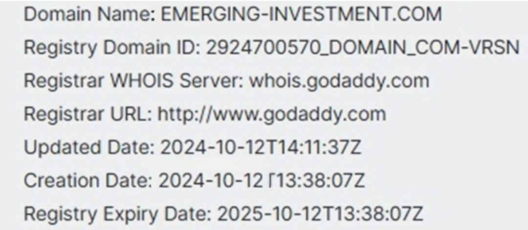 Emerging Markets Investment Emerging Markets Investment