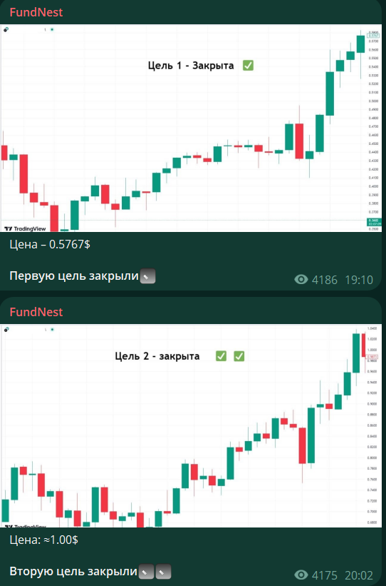 фунднест отзывы фунднест отзывы