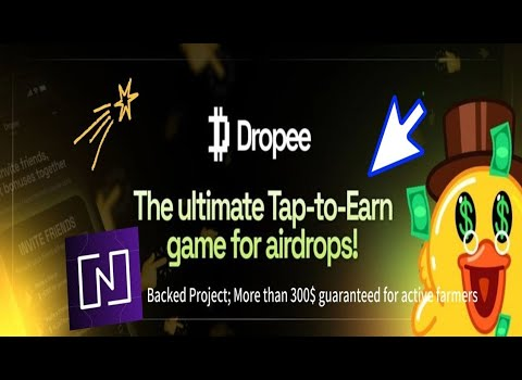 Комбо карты Dropee на сегодня 14 ноября 2024