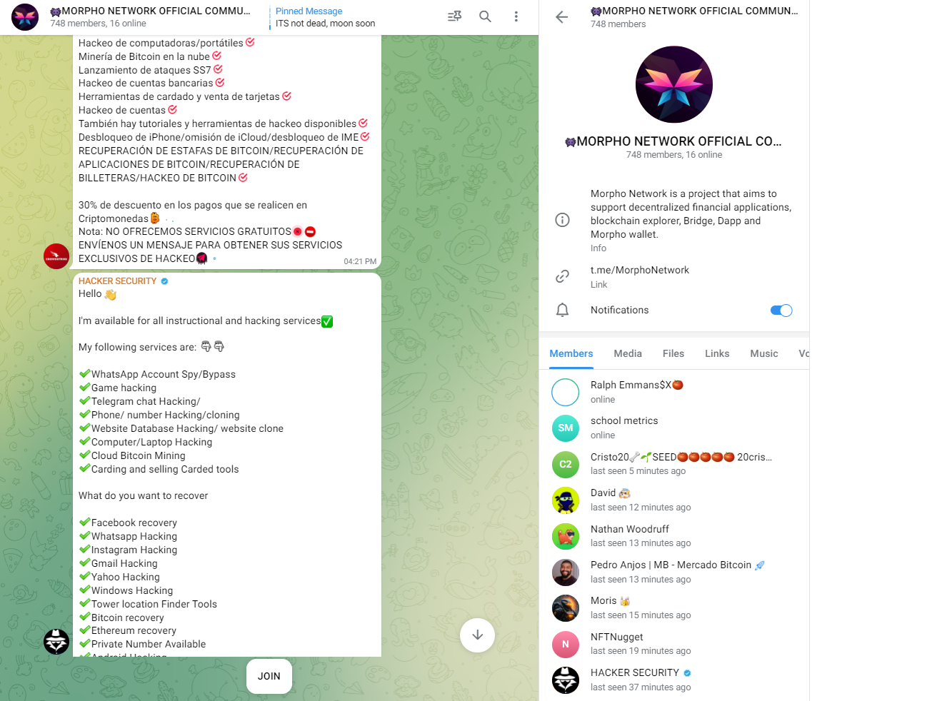 morpho token morpho token