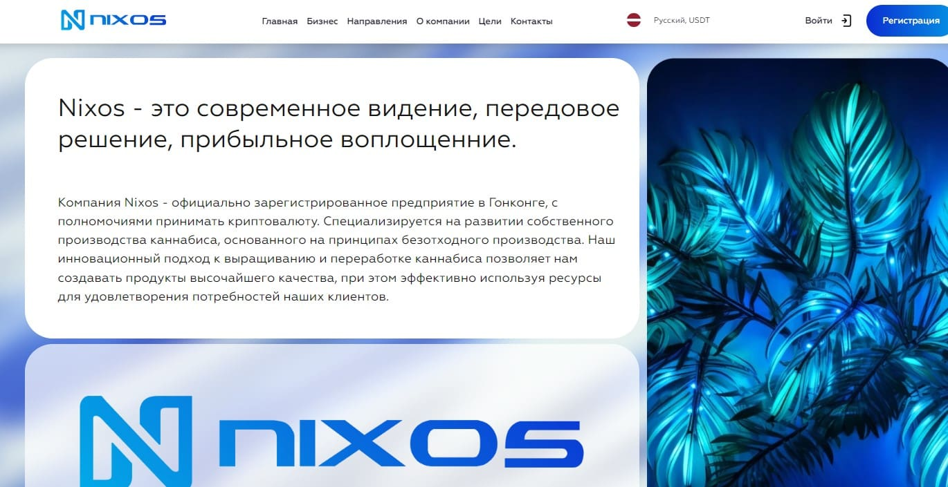 nixos group nixos group