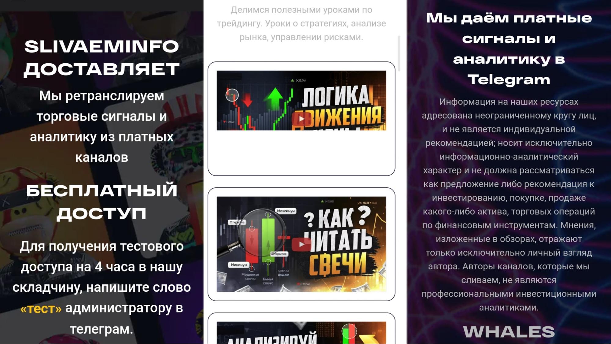 Платформа Slivaeminfo