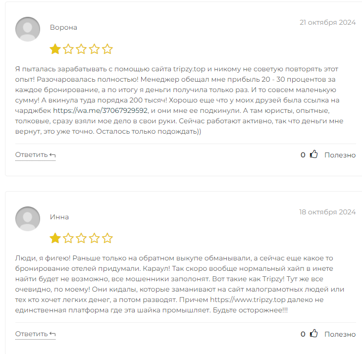 tripzy отзывы tripzy отзывы