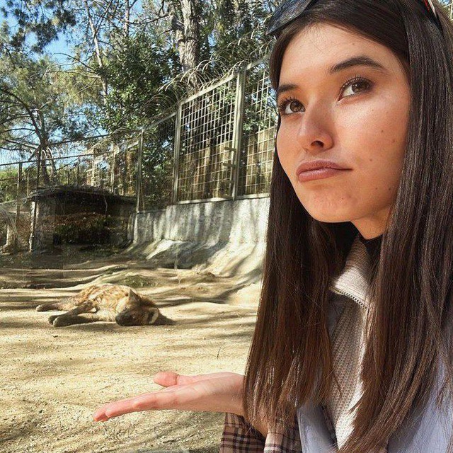 Екатерина Колесникова Екатерина Колесникова