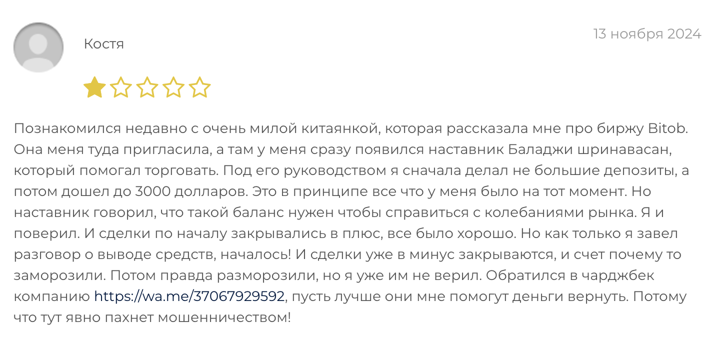 bitob отзывы bitob отзывы