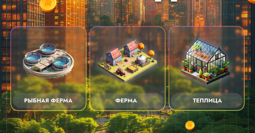 City Holder комбо дня City Holder комбо дня