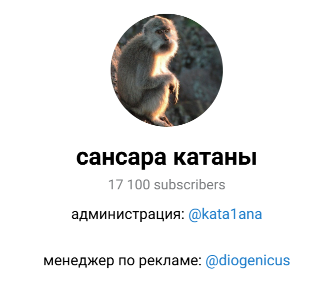 kata1ana отзывы kata1ana отзывы