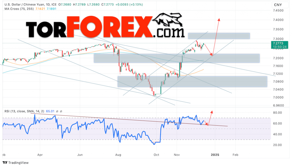 Китайский Юань прогноз на 16 — 20 декабря 2024
