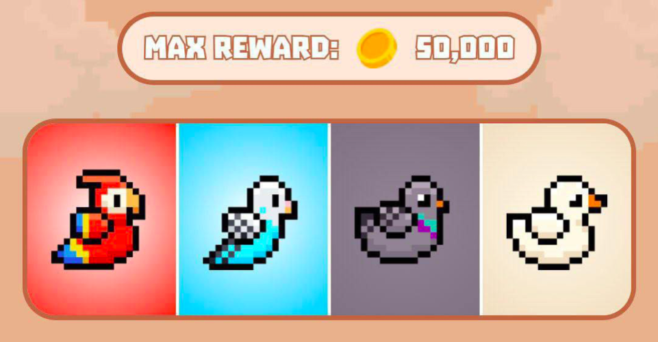 Комбо Bird Ton сегодня Комбо Bird Ton сегодня