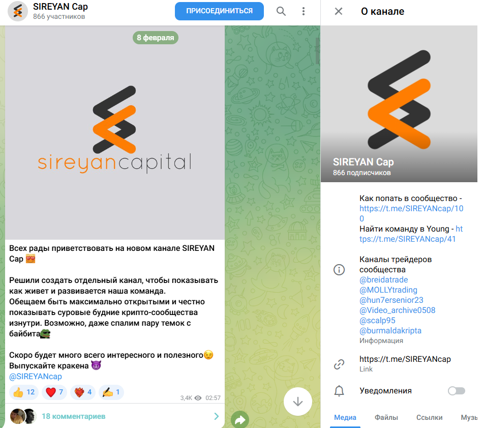 molly trade molly trade