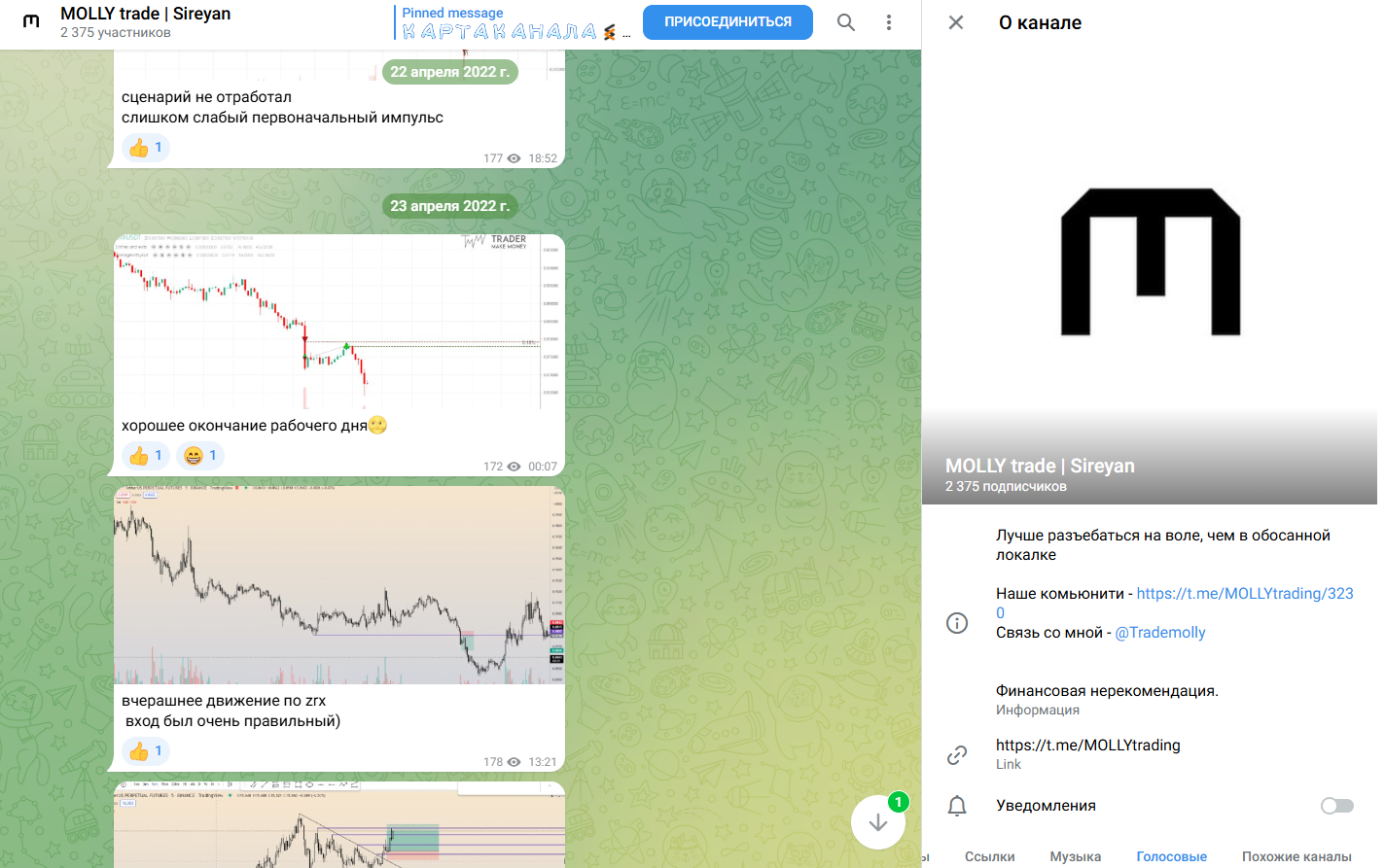 molly trade molly trade