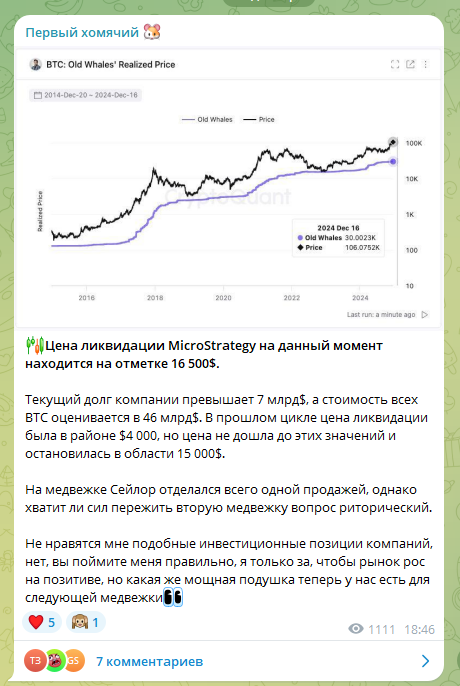 первый хомячий первый хомячий