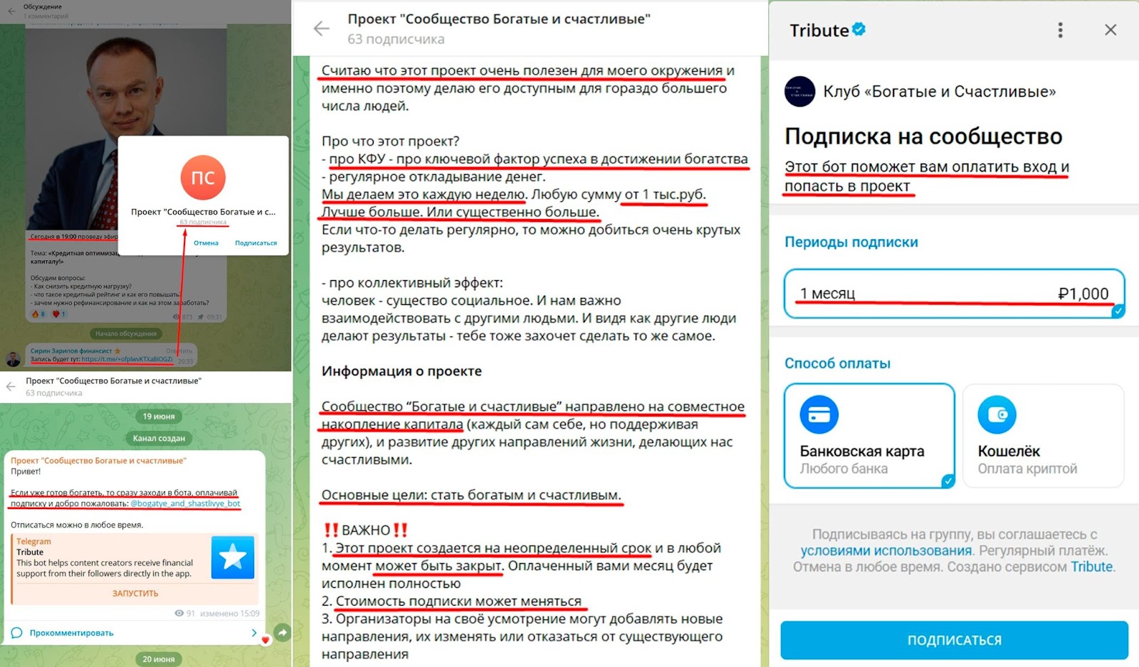 сирин зарипов сирин зарипов