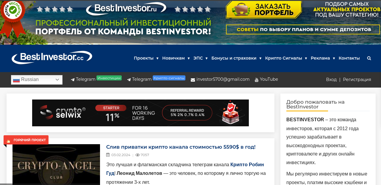 bestinvestor bestinvestor