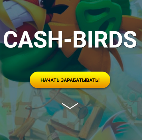 Cash Birds